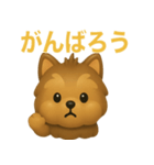 ぷっくりしてかわいいヨークシャテリア（個別スタンプ：13）
