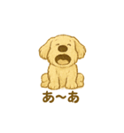 ふわふわぬいぐるみ犬のスタンプ（個別スタンプ：11）
