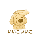 ふわふわぬいぐるみ犬のスタンプ（個別スタンプ：23）