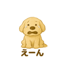 ふわふわぬいぐるみ犬のスタンプ（個別スタンプ：24）