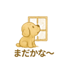 ふわふわぬいぐるみ犬のスタンプ（個別スタンプ：25）