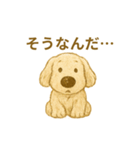 ふわふわぬいぐるみ犬のスタンプ（個別スタンプ：34）