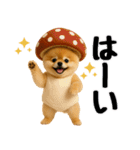 【秋冬】ずっと使えるポメラニアン（個別スタンプ：3）