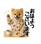【秋冬】ずっと使えるポメラニアン（個別スタンプ：4）
