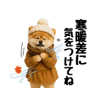 【秋冬】ずっと使えるポメラニアン（個別スタンプ：16）