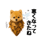 【秋冬】ずっと使えるポメラニアン（個別スタンプ：18）
