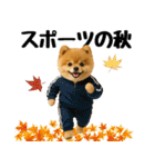【秋冬】ずっと使えるポメラニアン（個別スタンプ：28）