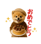 【秋冬】ずっと使えるポメラニアン（個別スタンプ：34）