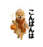 【秋冬】ずっと使えるポメラニアン（個別スタンプ：37）