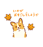 秋もコーギーが可愛い（個別スタンプ：5）