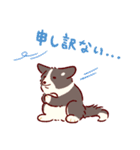 秋もコーギーが可愛い（個別スタンプ：7）