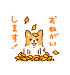 秋もコーギーが可愛い（個別スタンプ：11）