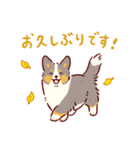 秋もコーギーが可愛い（個別スタンプ：13）