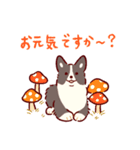 秋もコーギーが可愛い（個別スタンプ：14）