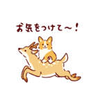 秋もコーギーが可愛い（個別スタンプ：20）