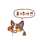 秋もコーギーが可愛い（個別スタンプ：21）