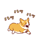 秋もコーギーが可愛い（個別スタンプ：25）