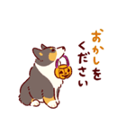 秋もコーギーが可愛い（個別スタンプ：26）