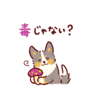 秋もコーギーが可愛い（個別スタンプ：27）