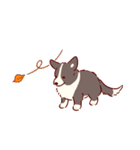 秋もコーギーが可愛い（個別スタンプ：28）
