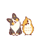 秋もコーギーが可愛い（個別スタンプ：36）