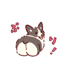 秋もコーギーが可愛い（個別スタンプ：38）