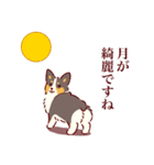 秋もコーギーが可愛い（個別スタンプ：40）