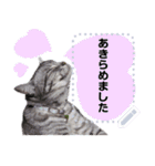 メッセージ入力可 働きすぎた猫編（個別スタンプ：4）