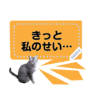 メッセージ入力可 働きすぎた猫編（個別スタンプ：5）