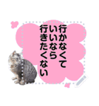 メッセージ入力可 働きすぎた猫編（個別スタンプ：7）