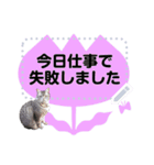 メッセージ入力可 働きすぎた猫編（個別スタンプ：9）