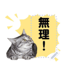 メッセージ入力可 働きすぎた猫編（個別スタンプ：10）