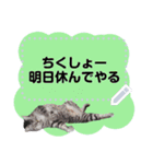 メッセージ入力可 働きすぎた猫編（個別スタンプ：12）