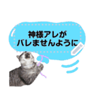 メッセージ入力可 働きすぎた猫編（個別スタンプ：14）