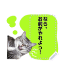 メッセージ入力可 働きすぎた猫編（個別スタンプ：15）