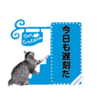 メッセージ入力可 働きすぎた猫編（個別スタンプ：19）