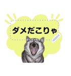 メッセージ入力可 働きすぎた猫編（個別スタンプ：22）
