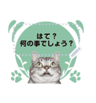 メッセージ入力可 働きすぎた猫編（個別スタンプ：24）