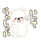 白いわんこ 2025 「いつもよく使う言葉」（個別スタンプ：6）