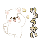 白いわんこ 2025 「いつもよく使う言葉」（個別スタンプ：8）