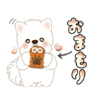 白いわんこ 2025 「いつもよく使う言葉」（個別スタンプ：10）
