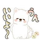 白いわんこ 2025 「いつもよく使う言葉」（個別スタンプ：12）
