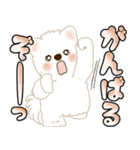 白いわんこ 2025 「いつもよく使う言葉」（個別スタンプ：13）