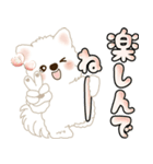 白いわんこ 2025 「いつもよく使う言葉」（個別スタンプ：14）
