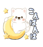 白いわんこ 2025 「いつもよく使う言葉」（個別スタンプ：17）