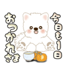 白いわんこ 2025 「いつもよく使う言葉」（個別スタンプ：21）