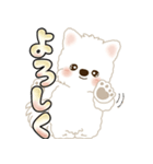 白いわんこ 2025 「いつもよく使う言葉」（個別スタンプ：25）