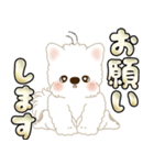 白いわんこ 2025 「いつもよく使う言葉」（個別スタンプ：26）