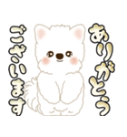 白いわんこ 2025 「いつもよく使う言葉」（個別スタンプ：27）