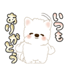 白いわんこ 2025 「いつもよく使う言葉」（個別スタンプ：28）